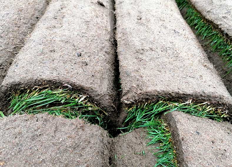 Steinundnatur-platten-verlegen-karlsruhe-neureut